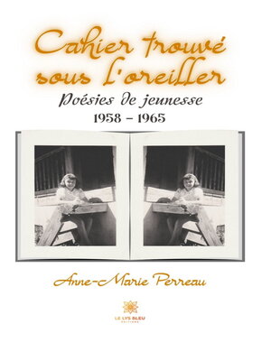 cover image of Cahier trouvé sous l'oreiller